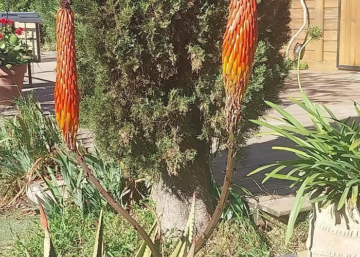 Maison à La Campagne à Quelques Kilomètres De La Elne